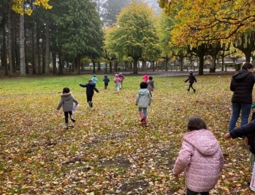 Le Cross Annuel Institution Sainte Therese Les Cordeliers